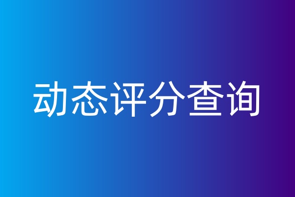 动态评分查询